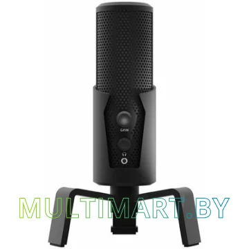 Микрофон Ritmix RDM-290 USB Eloquence картинка 8